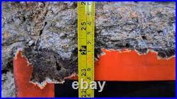 LARGE State Express Cigarettes Enamel Sign Vintage Collectable