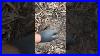 Vintage_Firestone_Enamel_Porcelain_Sign_Found_While_Metaldetecting_01_voe