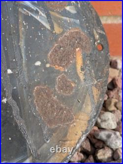 Vintage Original Enamel Sign Alexander & Duncan Ltd Leominster 12 x 20